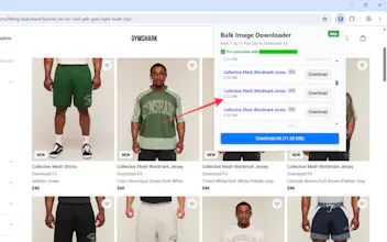 Bulk Image Downloader gallery image