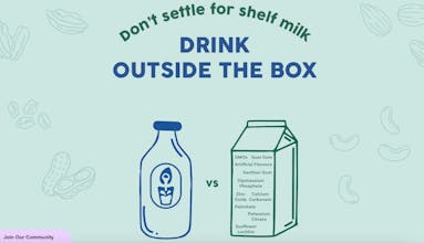 Milky Plant gallery image