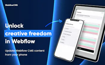 WebflowCMS gallery image