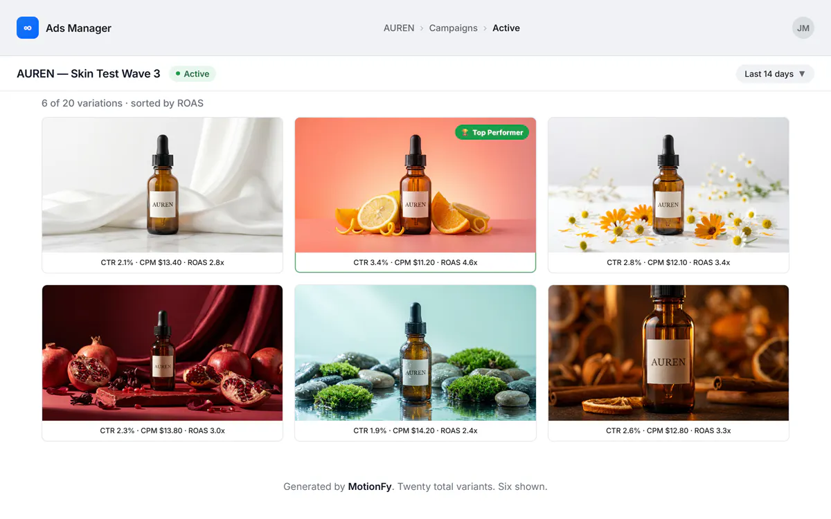 MotionFy gallery image