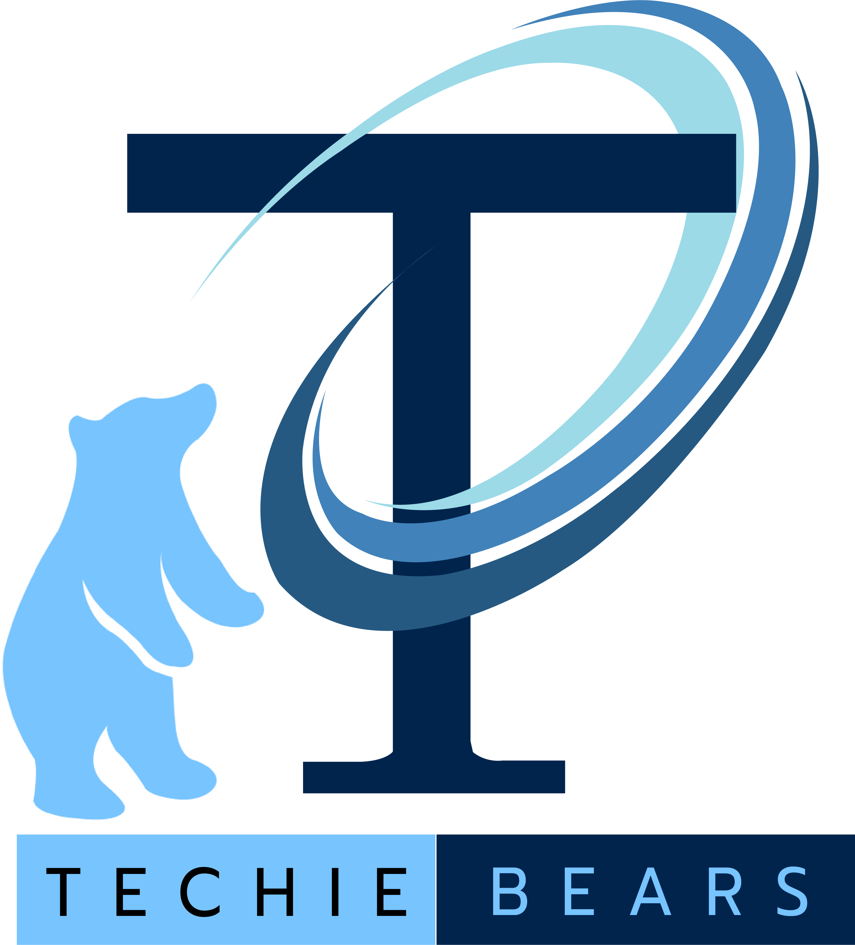 Software Development Company 