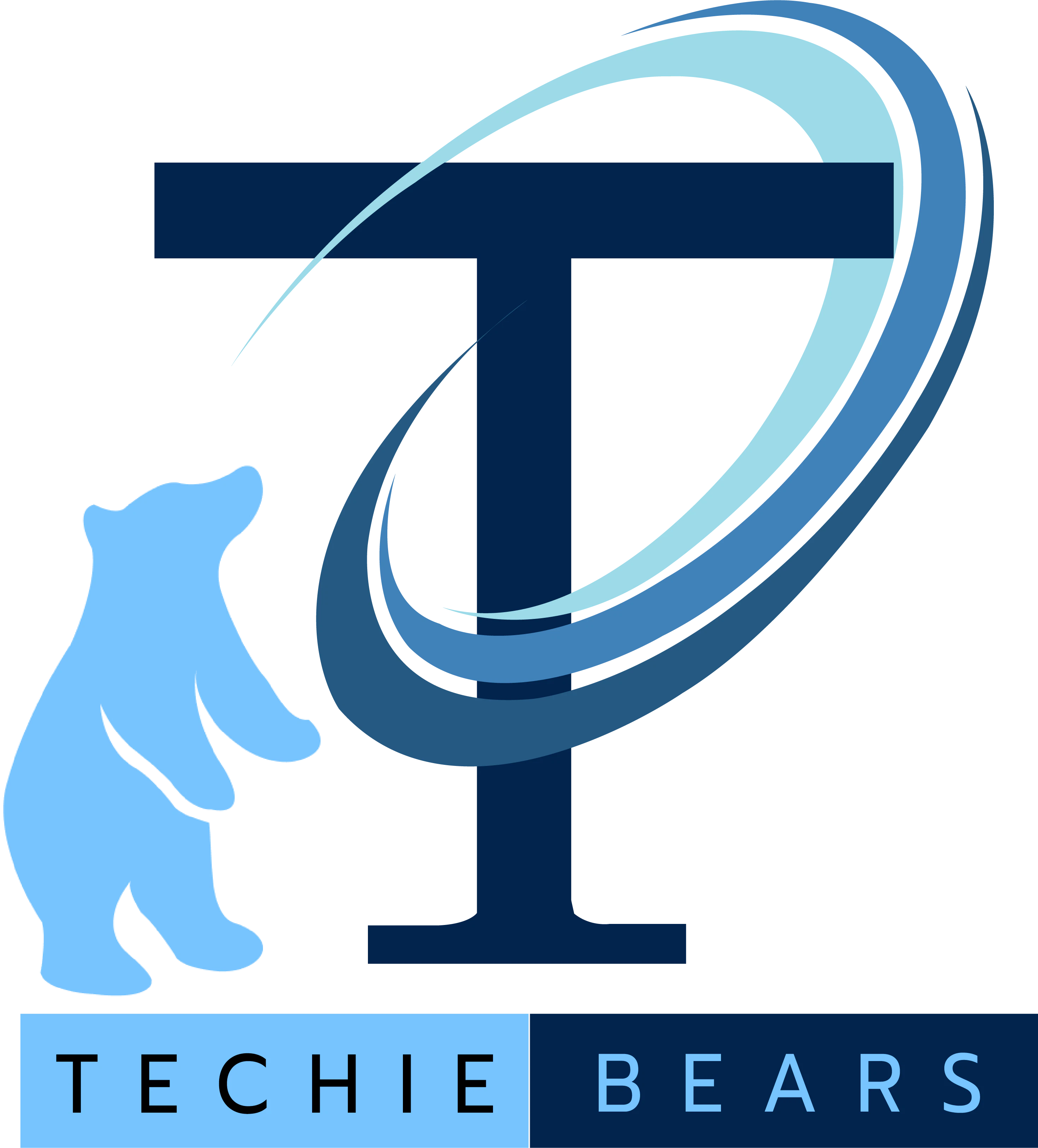 Software Development Company 