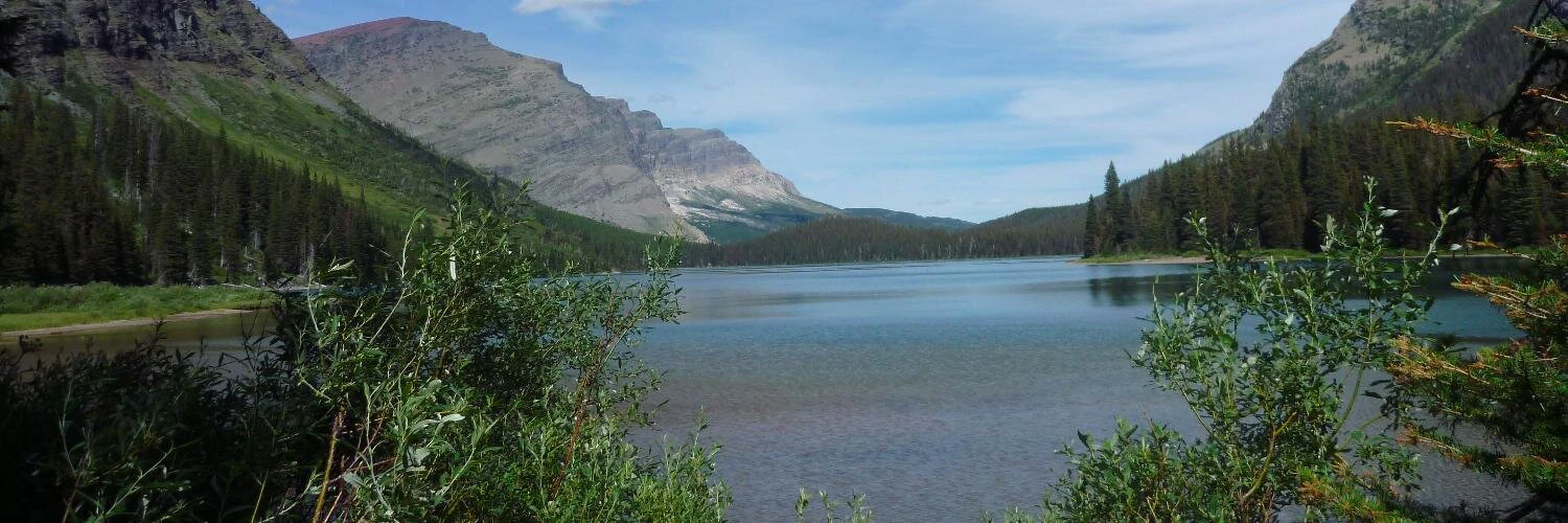 Matthew TW Huang cover