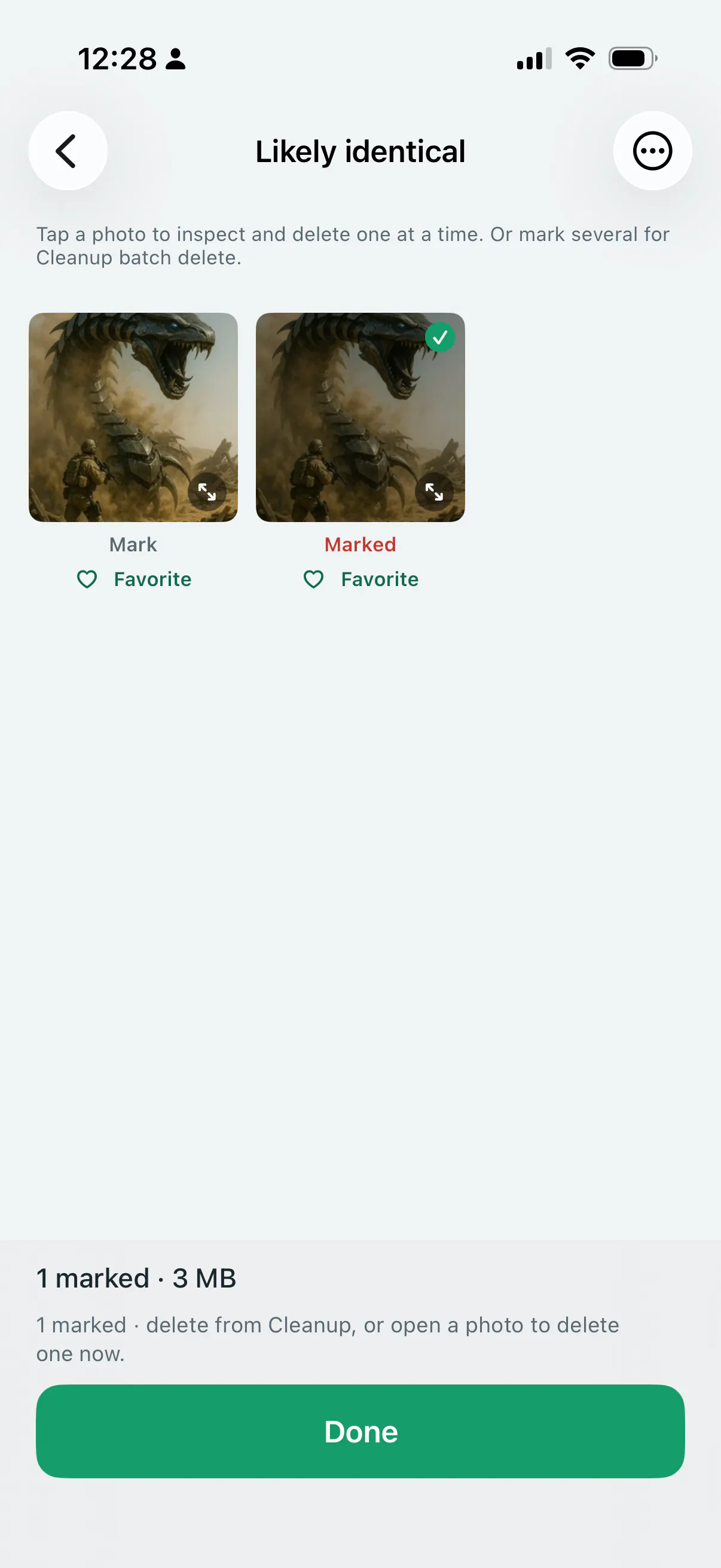 Dupefold gallery image