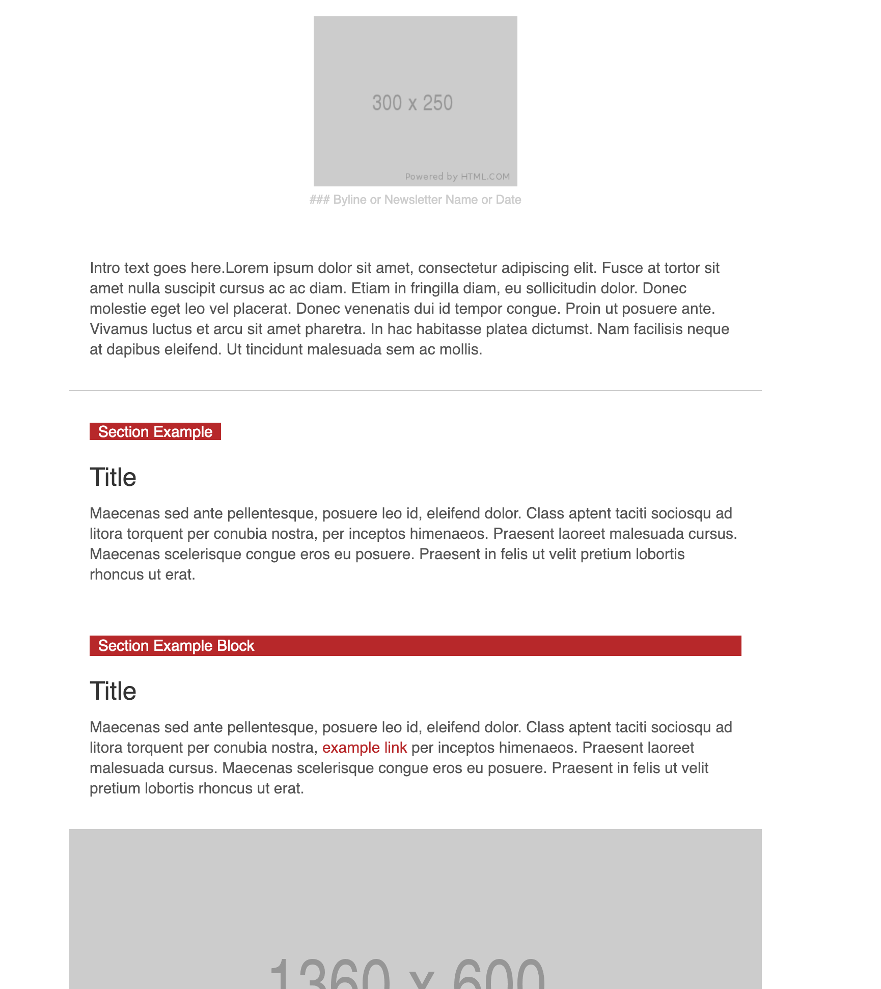 Newsletter Guide Image