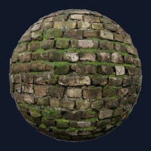 PolyScan gallery image