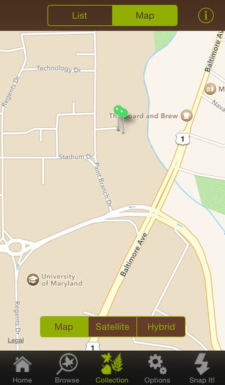 Leafsnap gallery image