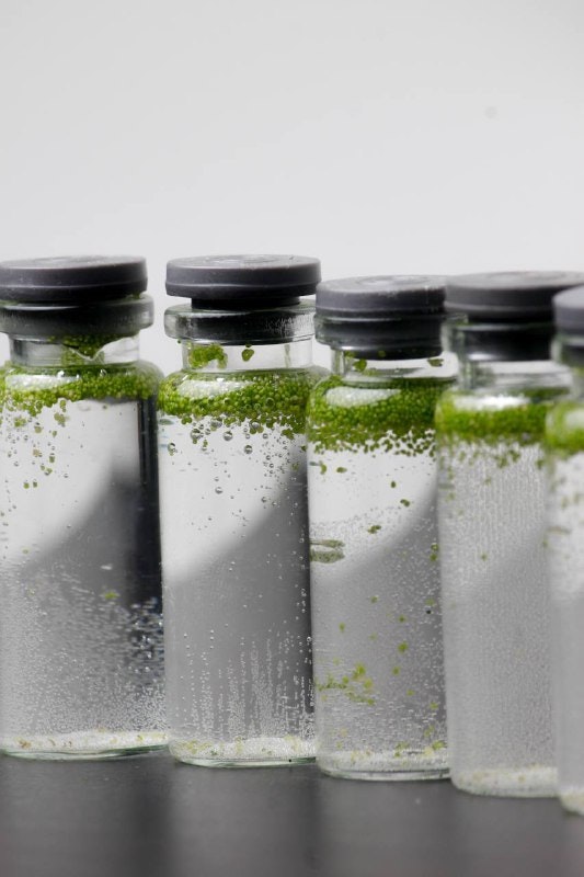 Biovolf - We create agriculture's future technologies media 5