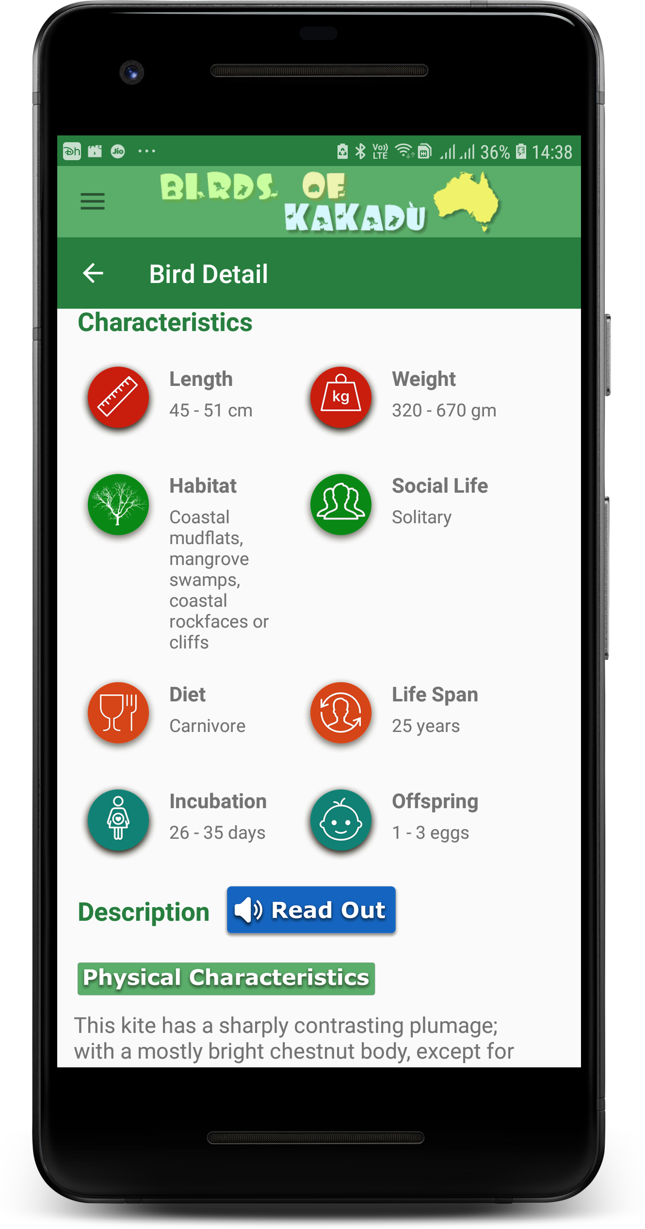 Birds of Kakadu Australia Northern Side gallery image