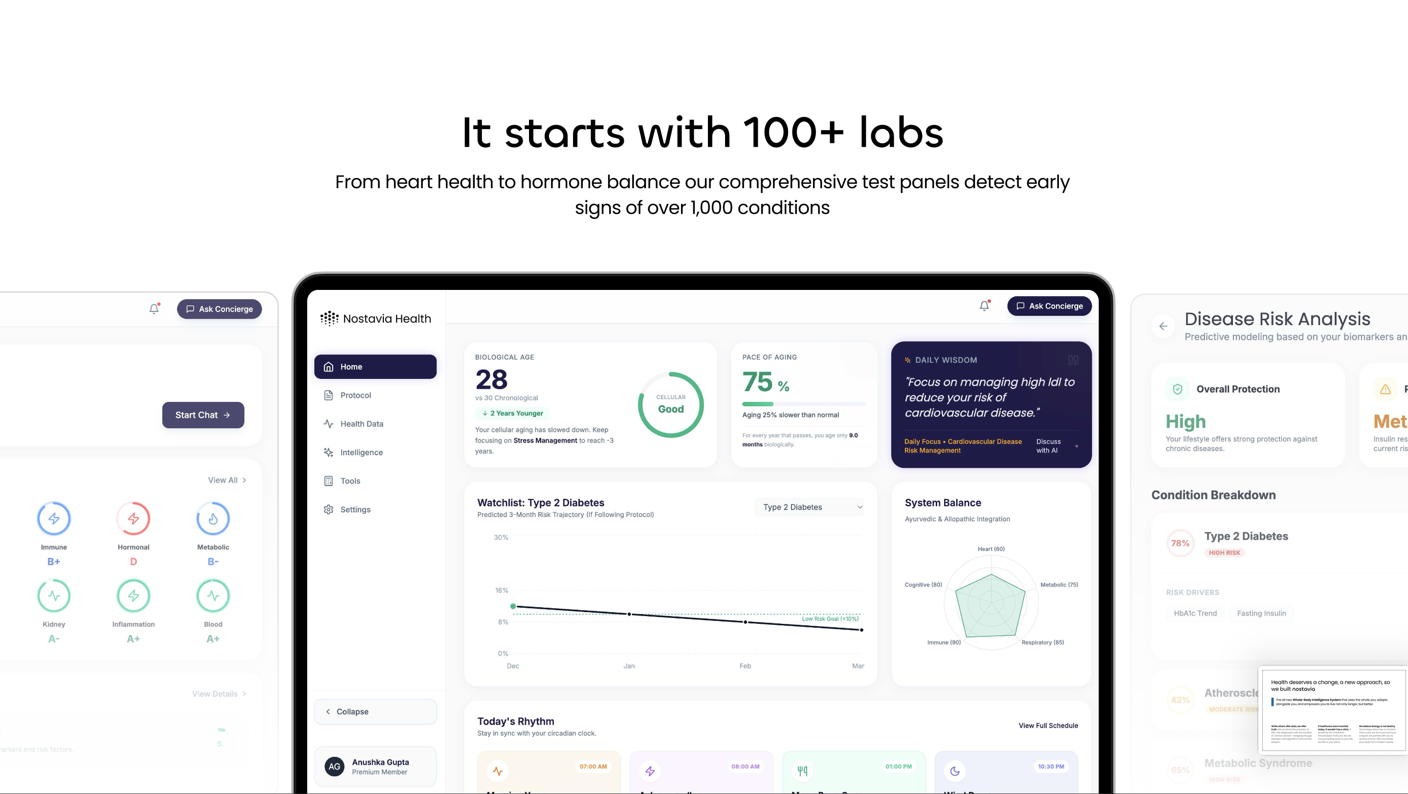 Nostavia gallery image