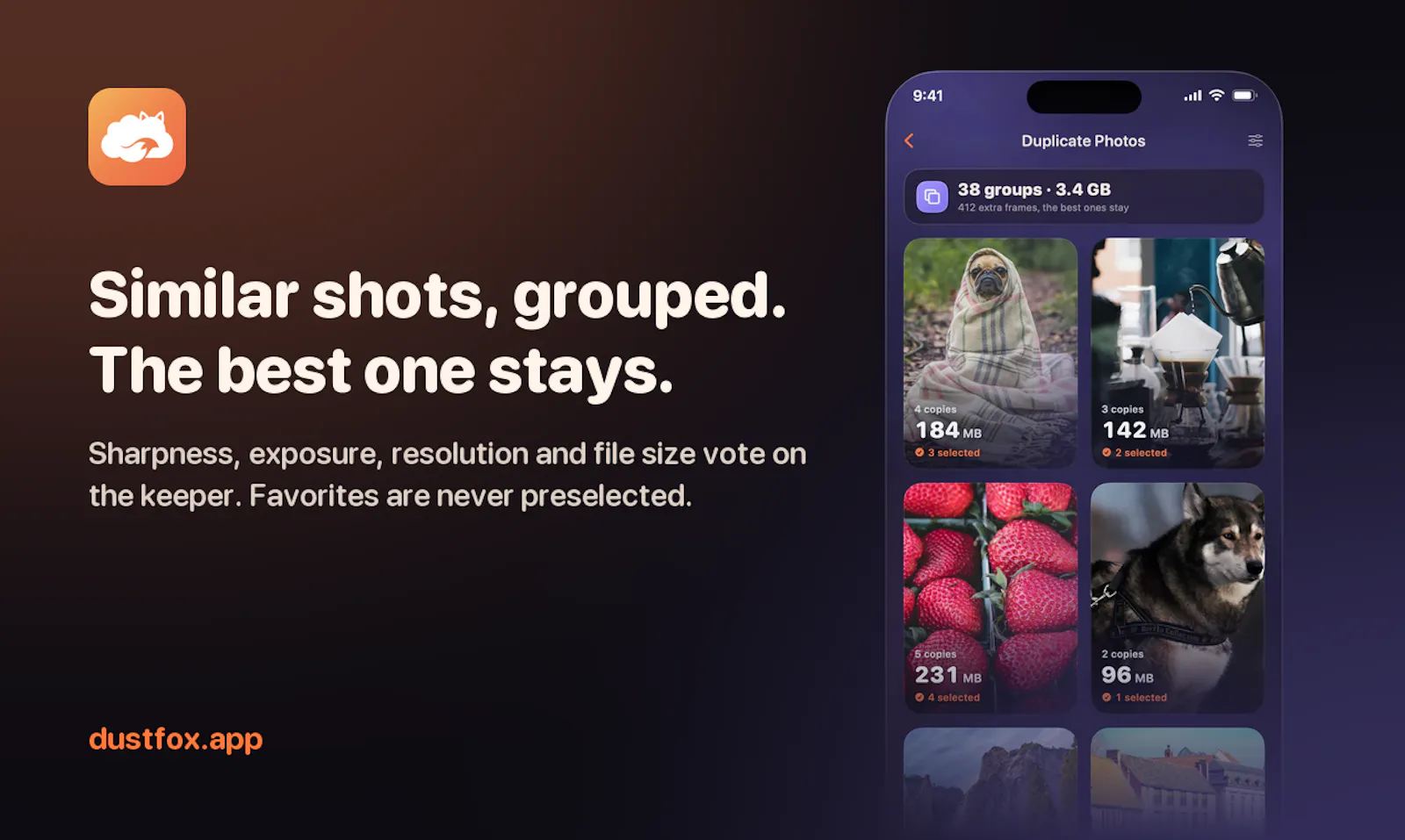 DustFox screenshot 2