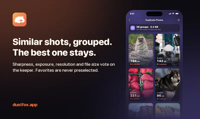 DustFox screenshot 2