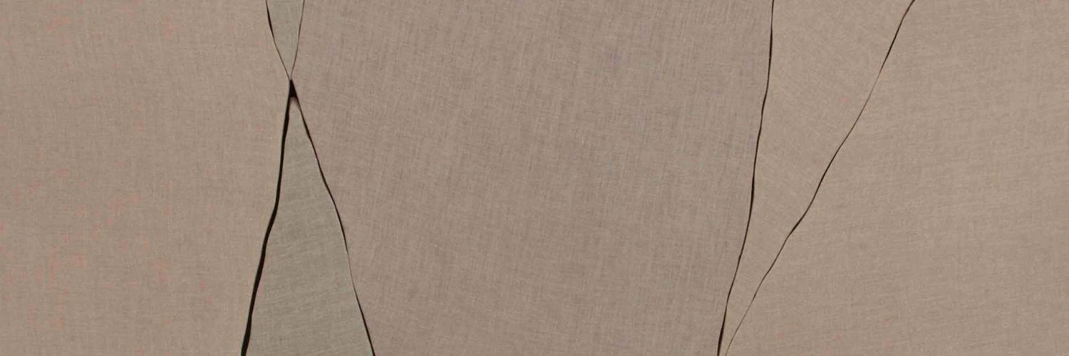 Kenneth Schlenker cover