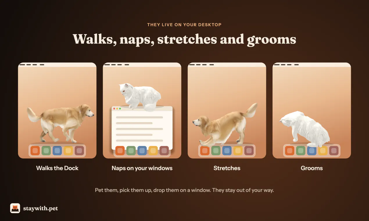 staywith.pet gallery image