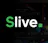 Slive