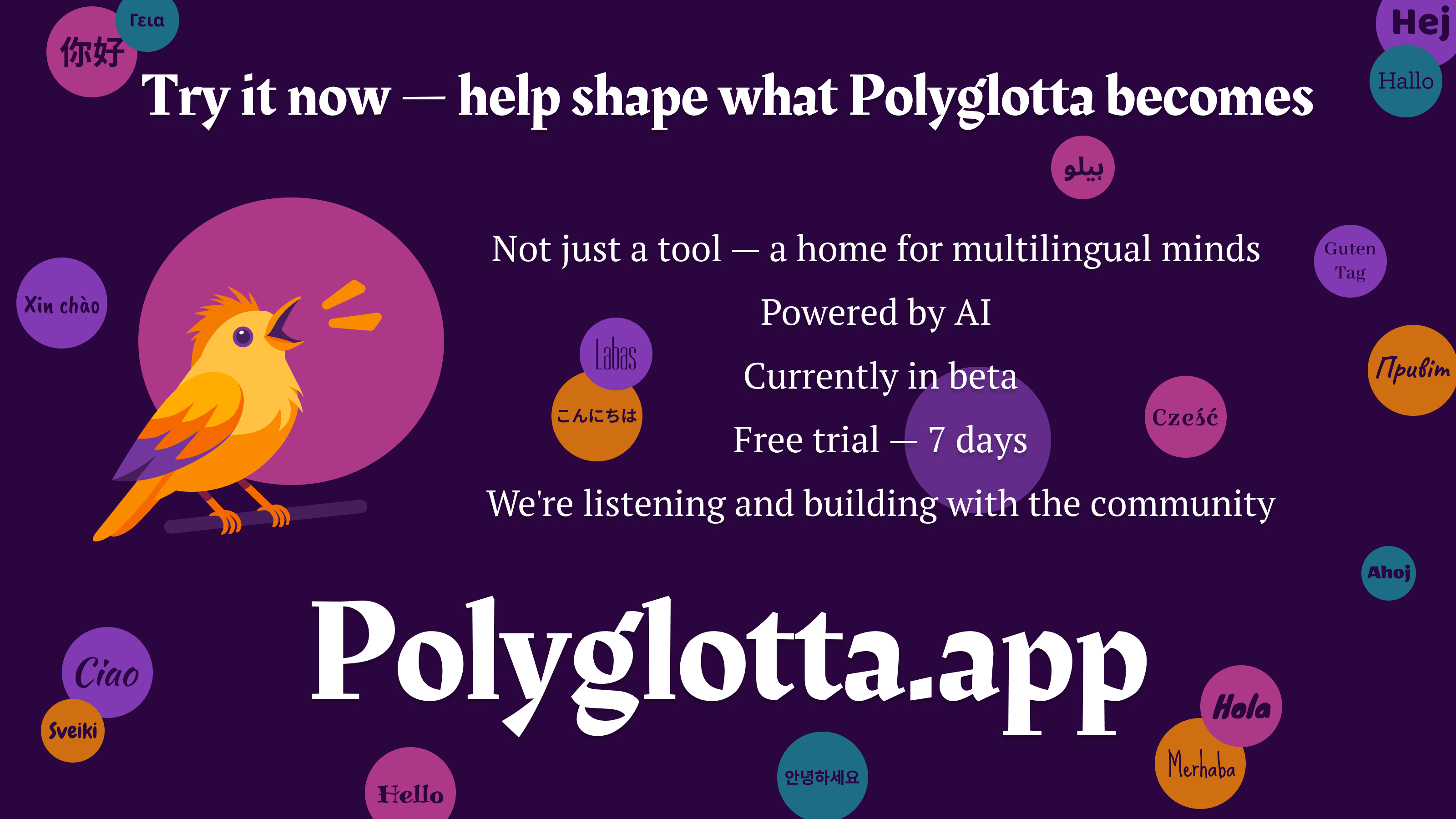 Polyglotta User Experience