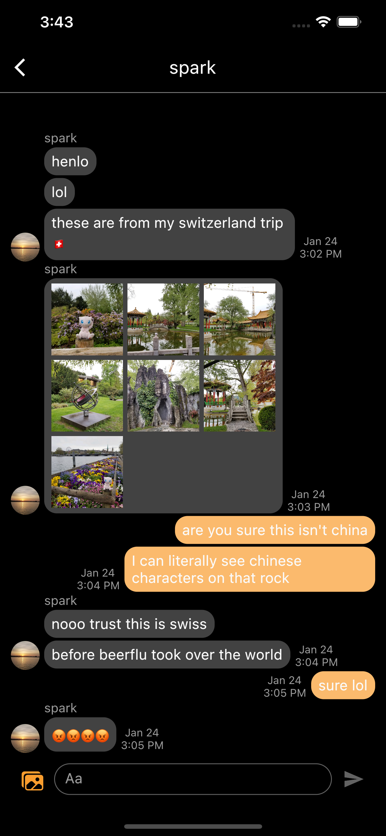 Pidgeon gallery image