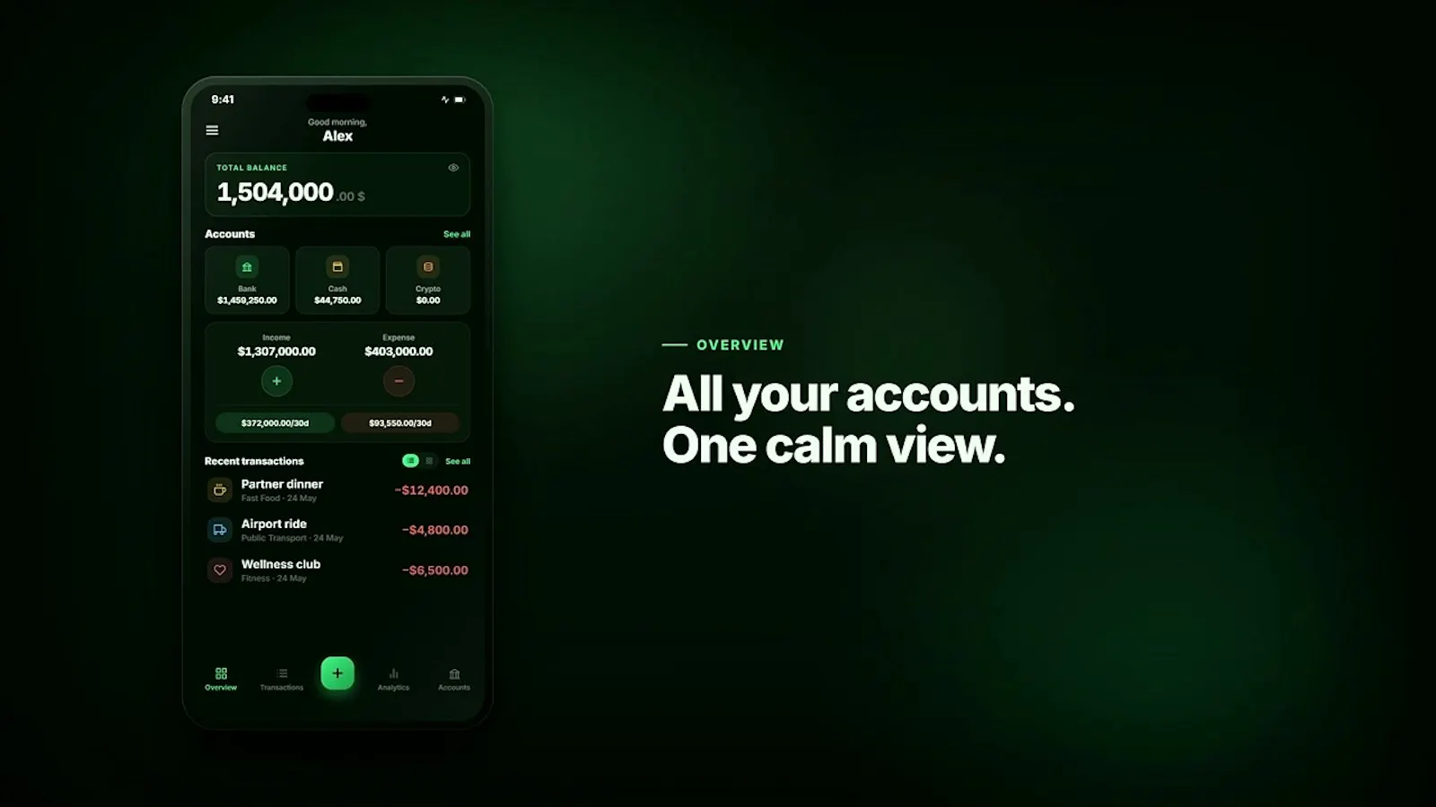 PayCheck screenshot 1 (video preview)