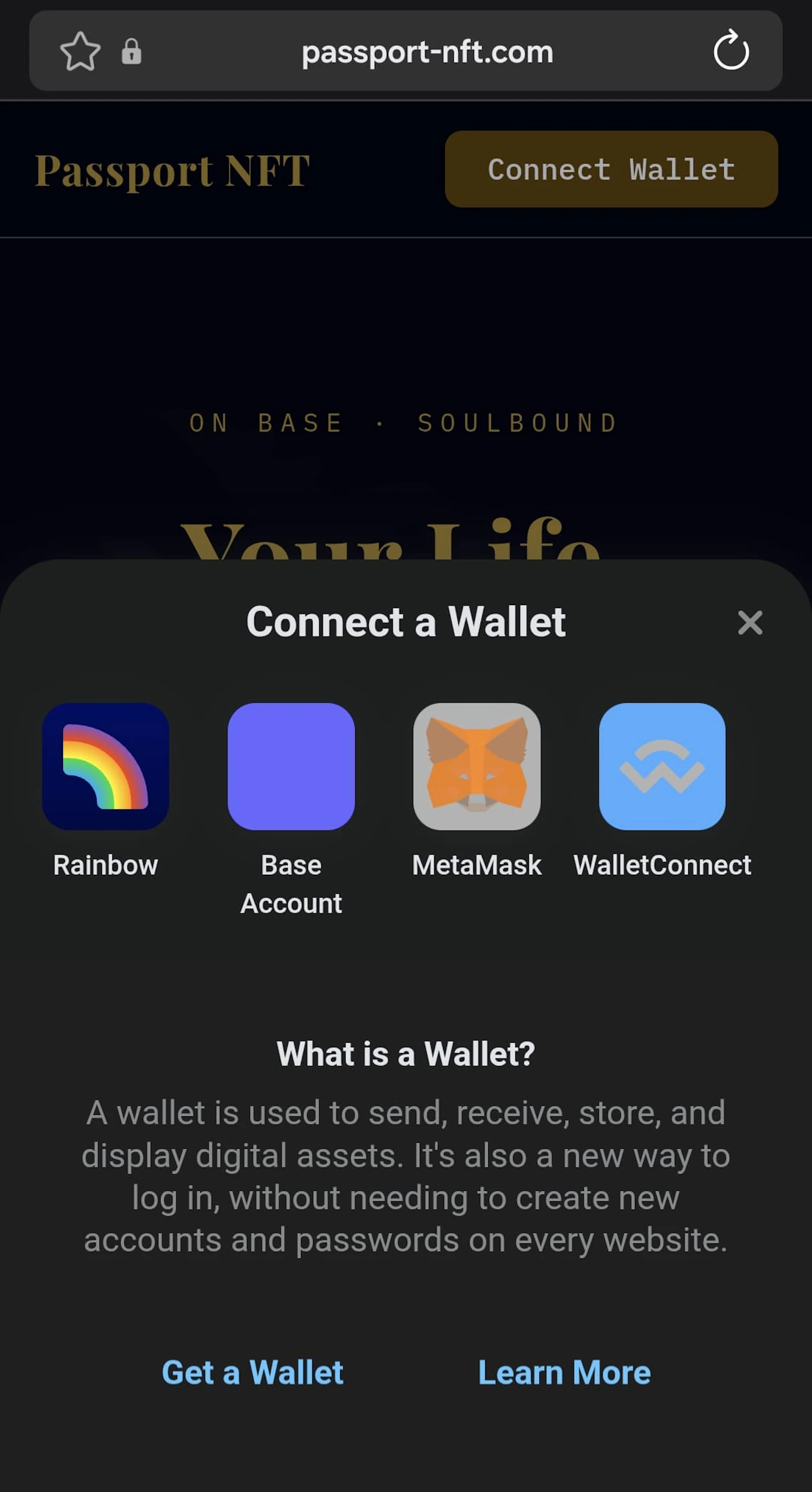 Passport NFT screenshot 5