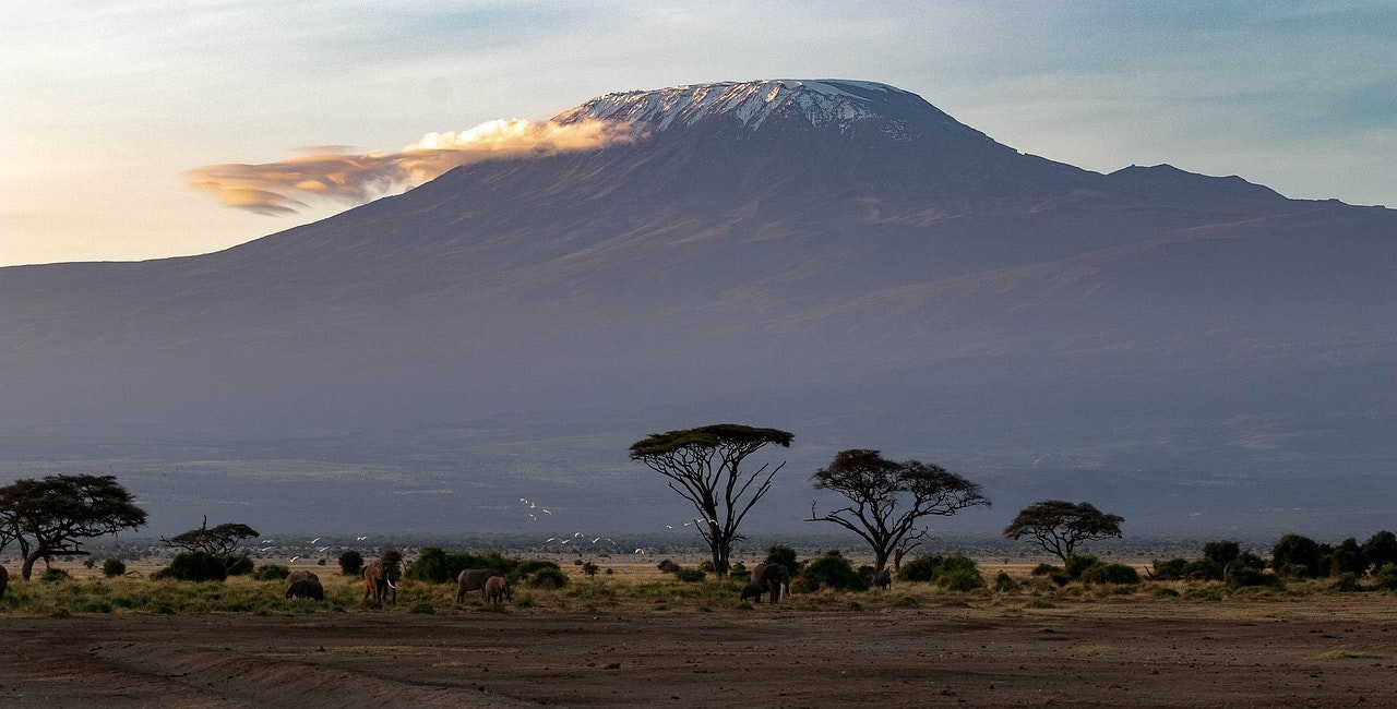 Africantrust Safari gallery image