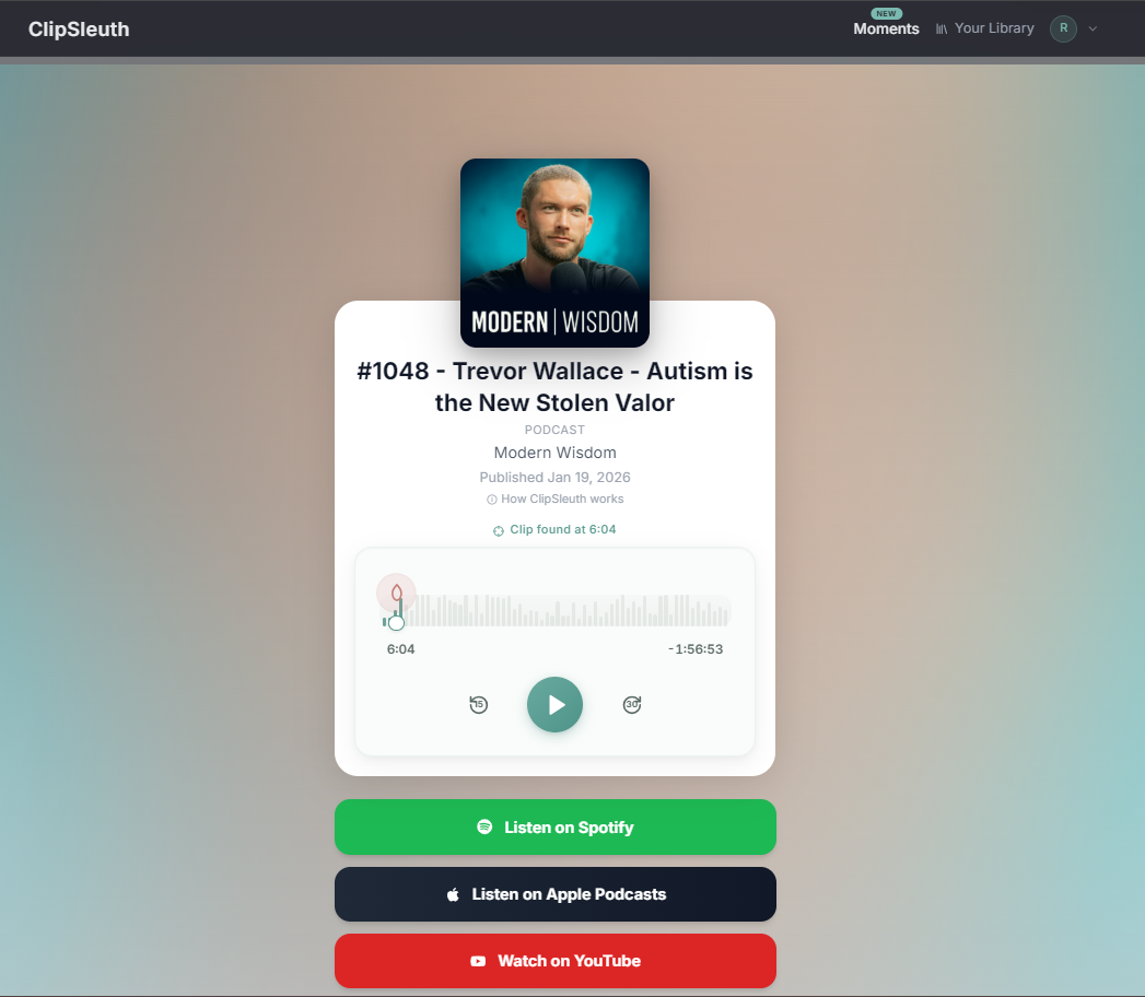 ClipSleuth - Screenshot 4 showing product features and functionality