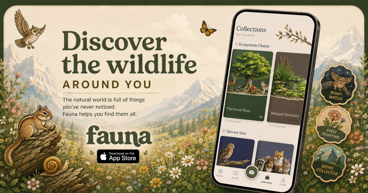 Fauna App Launch gallery image