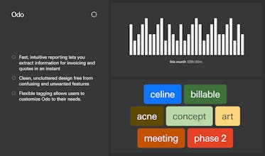 Odo: Uncomplicated Time Tracking gallery image