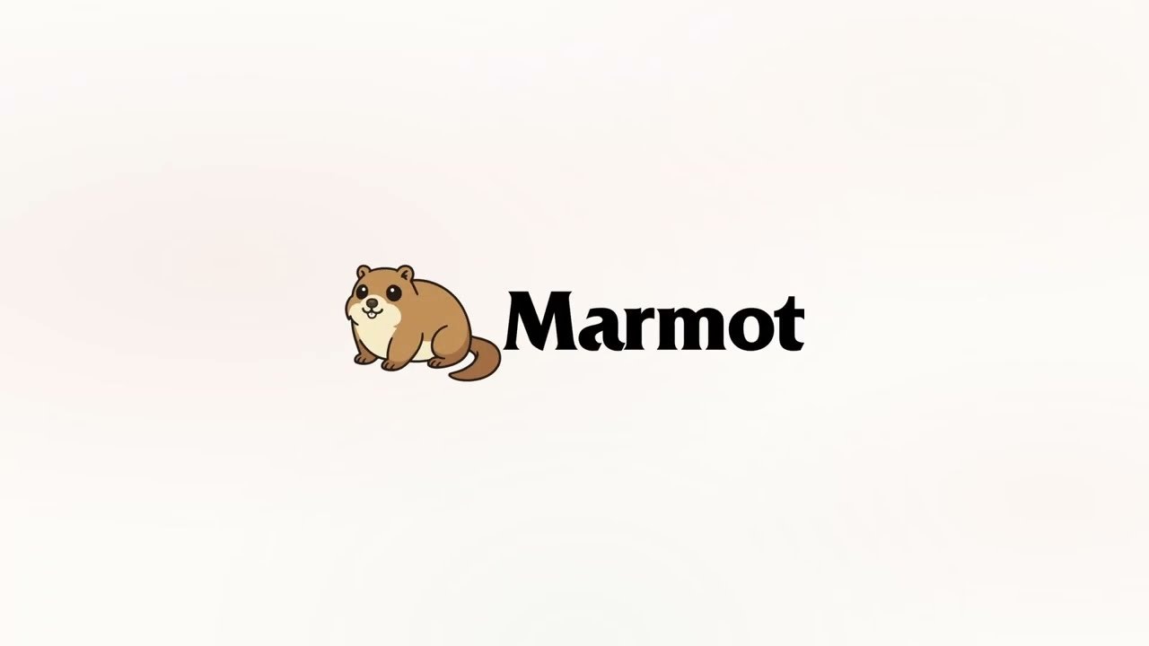 Marmot gallery image