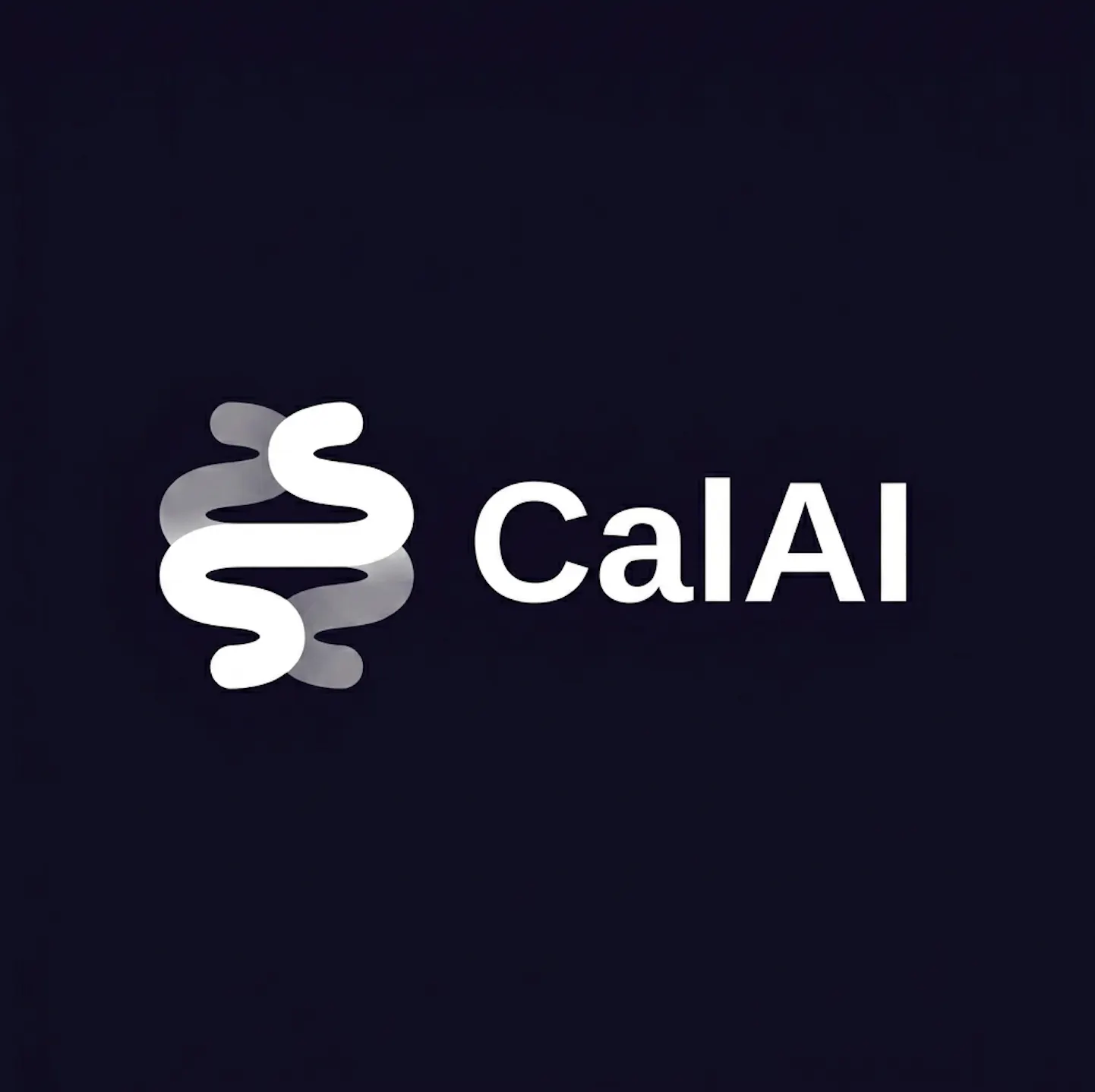 CalAI Solutions