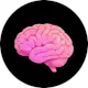 Cortex