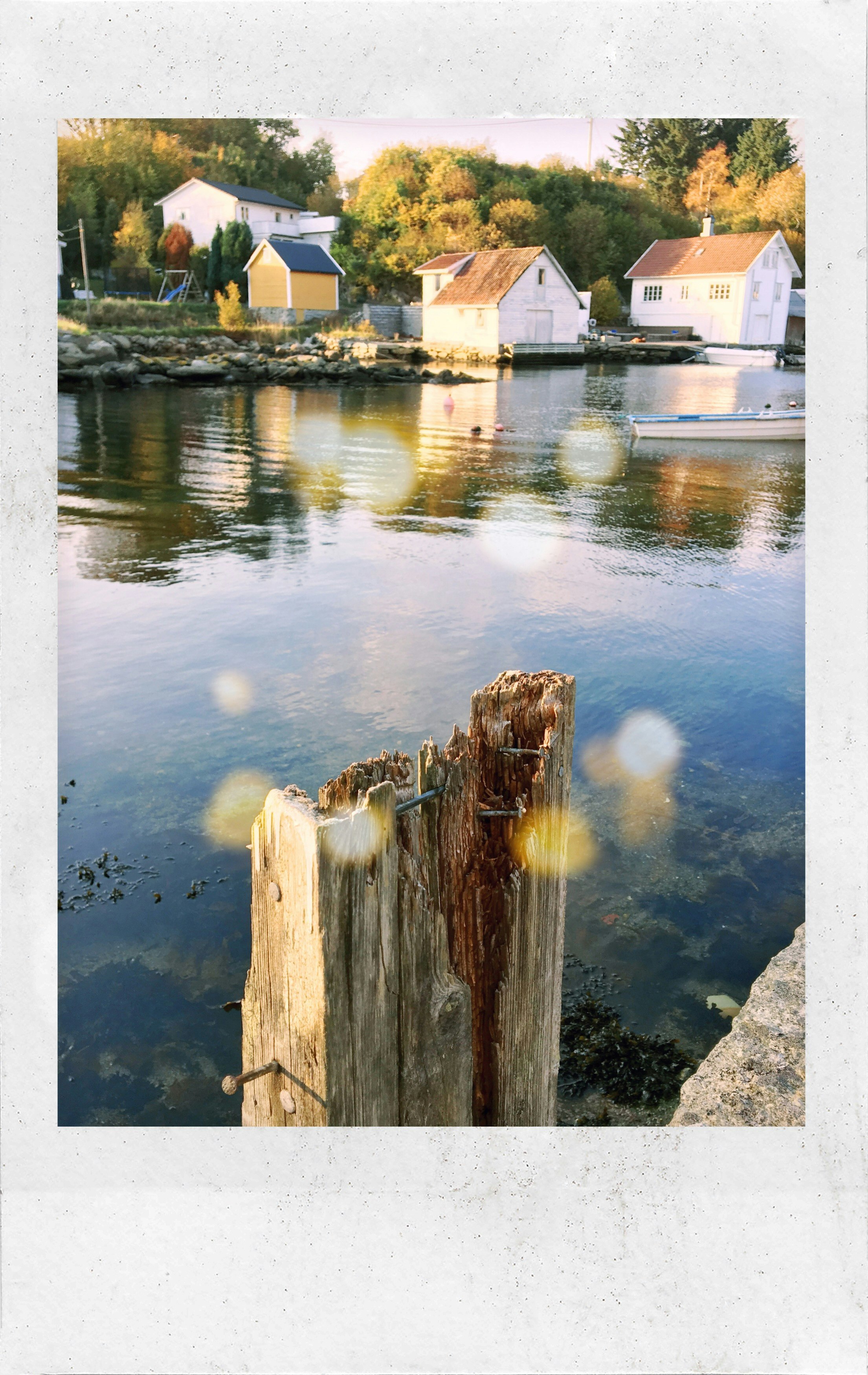 Perch Live gallery image