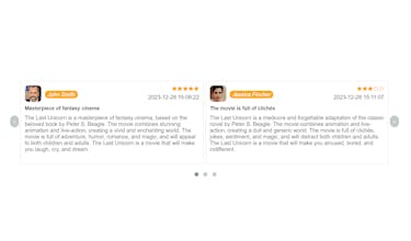 WordPress Review Plugin gallery image