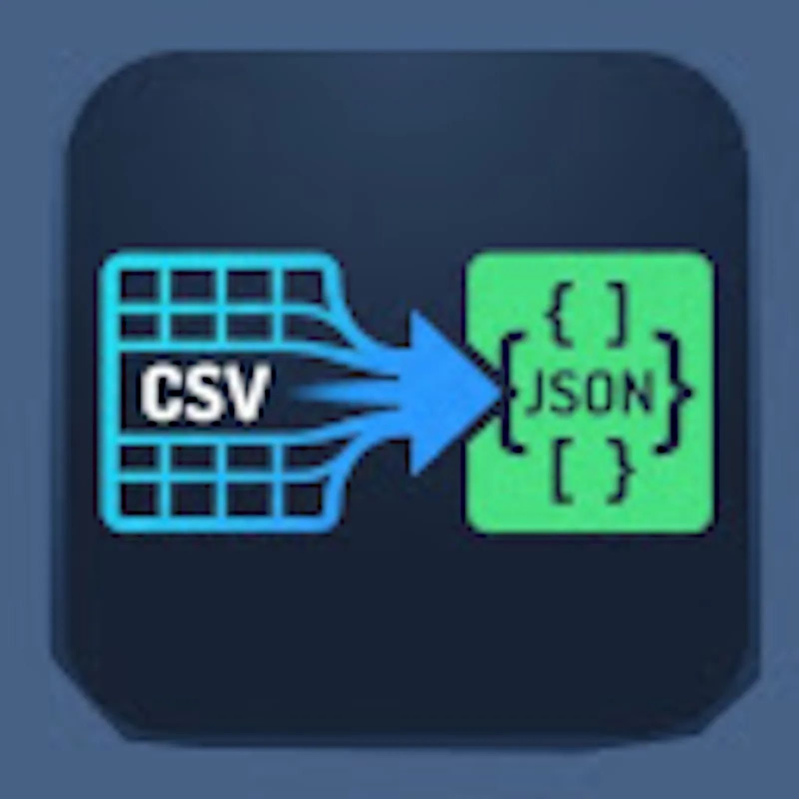 CSV-to-Schema-Workspace screenshot 1