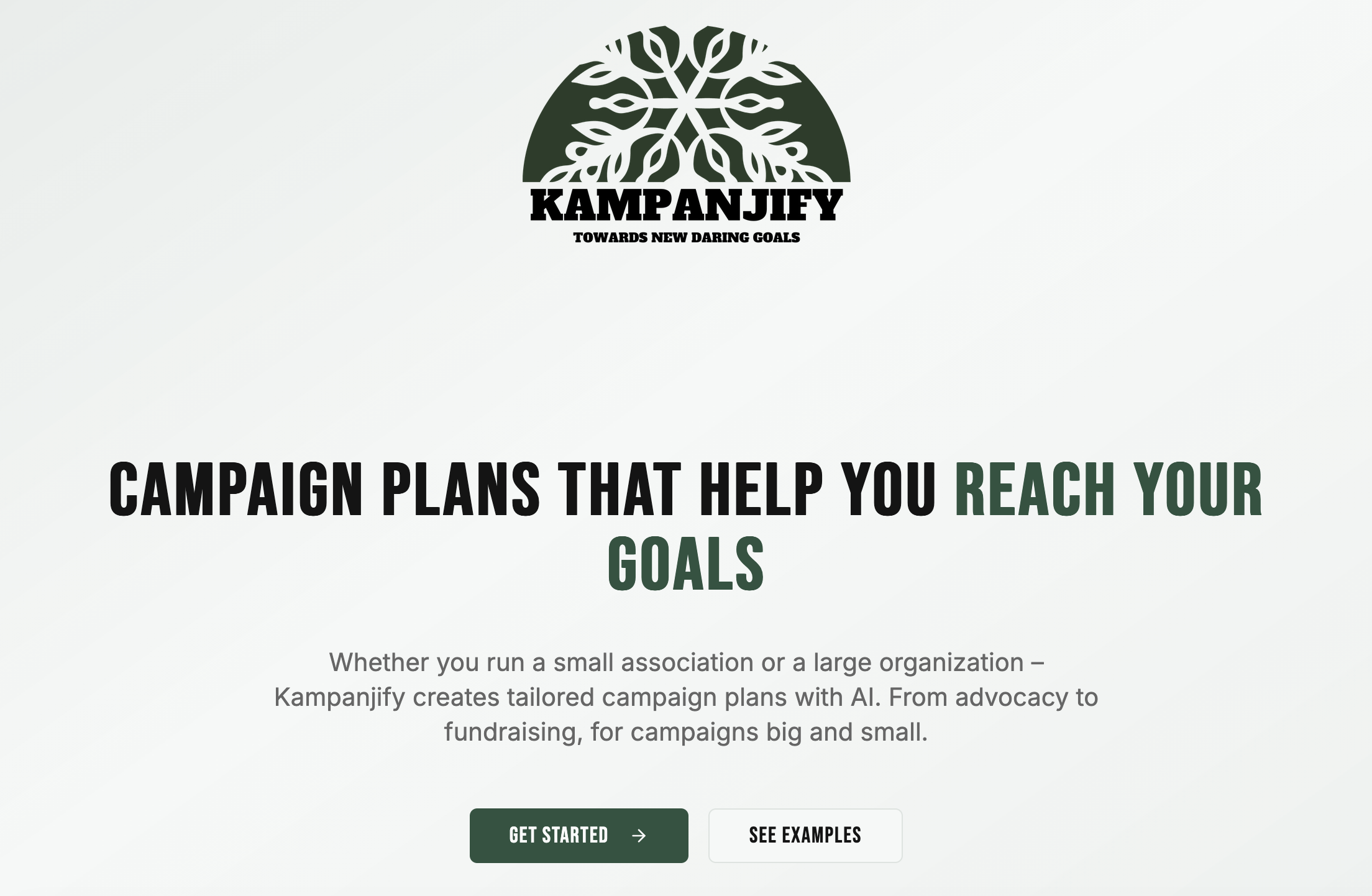 Kampanjify media 1