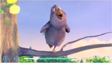 Sopplayer gallery image