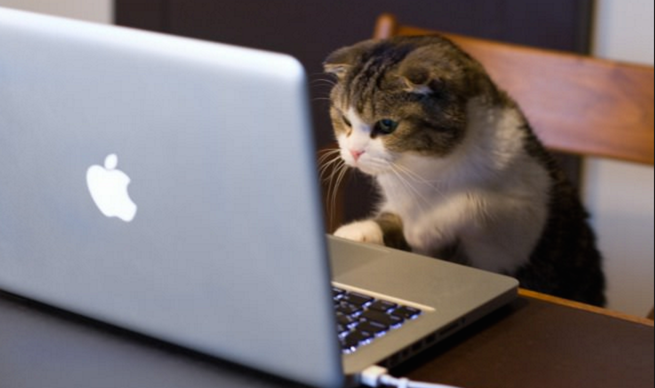 216ff61e 0bd7 47f4 8967 8129f0e6972e?auto=format