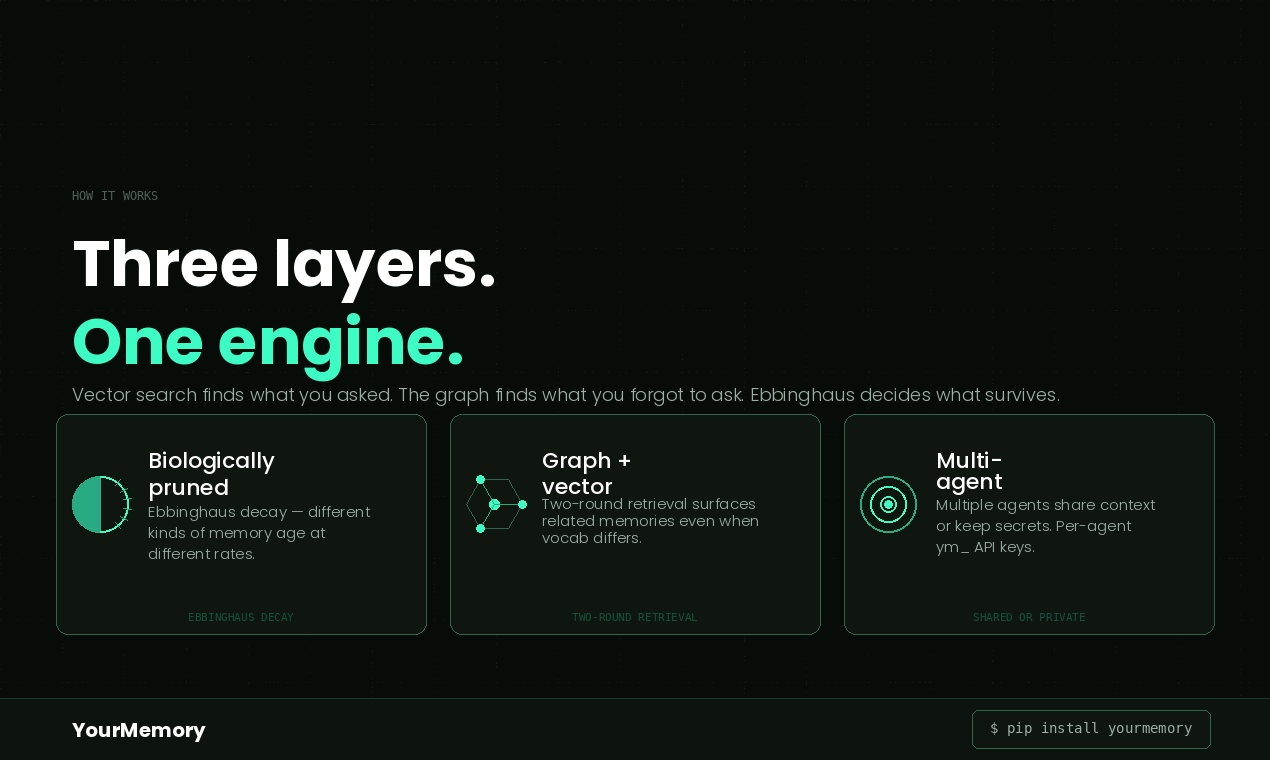 YourMemory gallery image