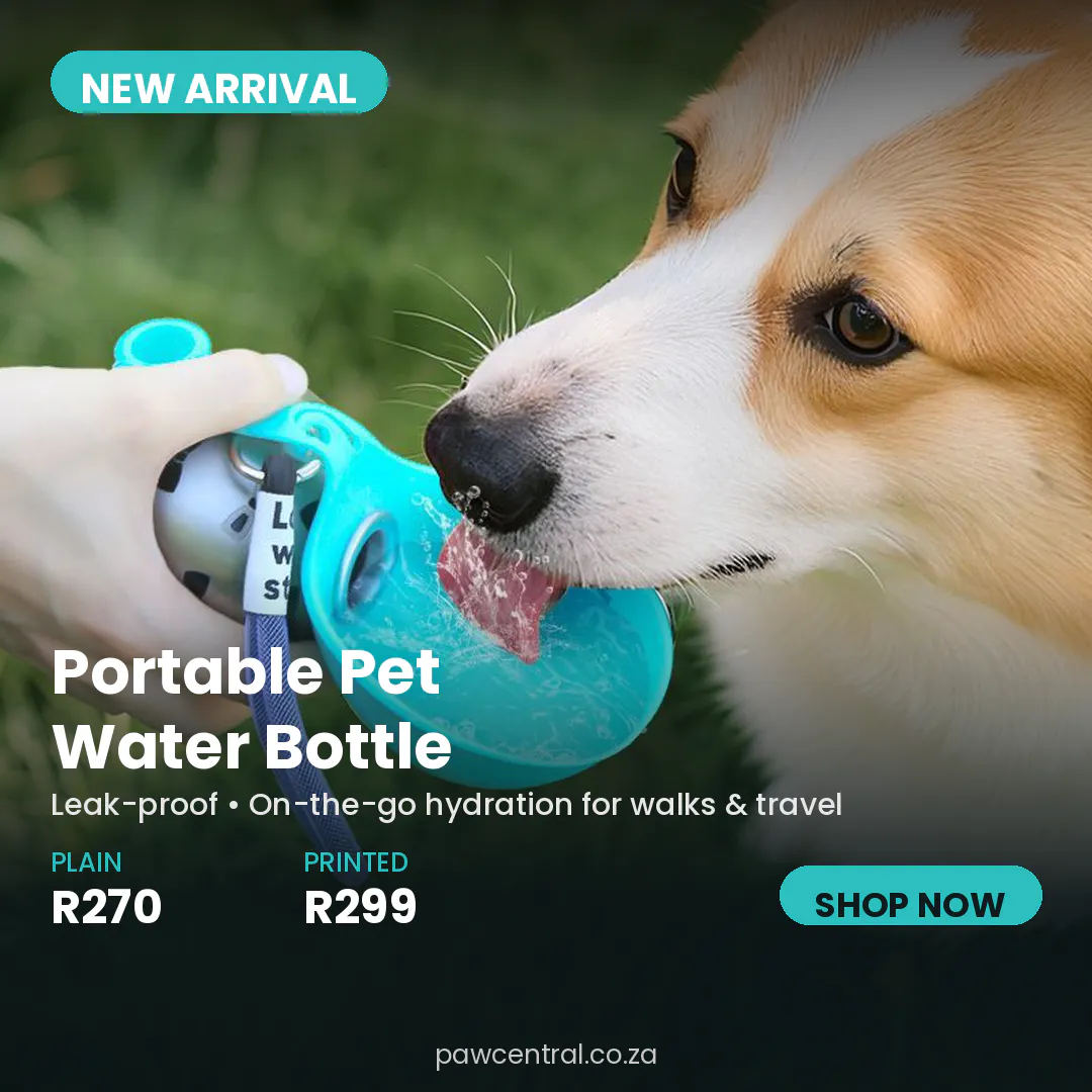PawCentral  gallery image