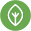 Midori.Earth