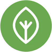Midori.Earth