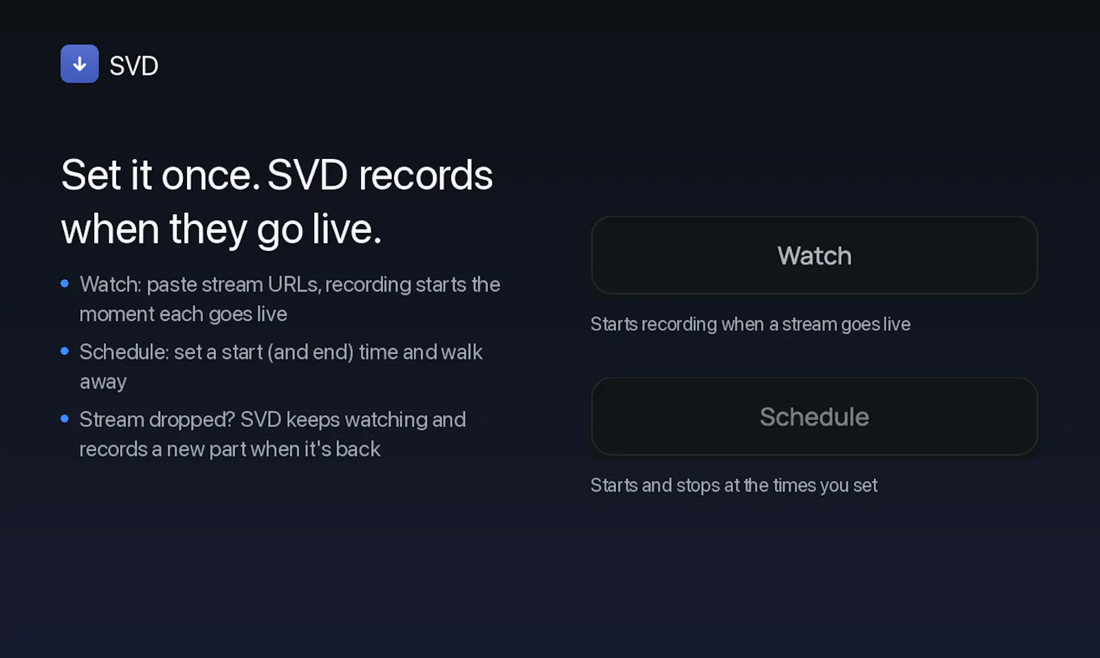SVD screenshot 3