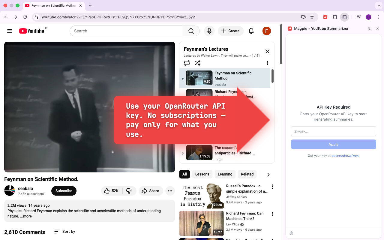 Magpie - YouTube Summarizer gallery image
