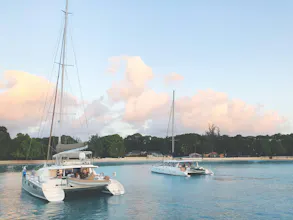 Wild Workation gallery image