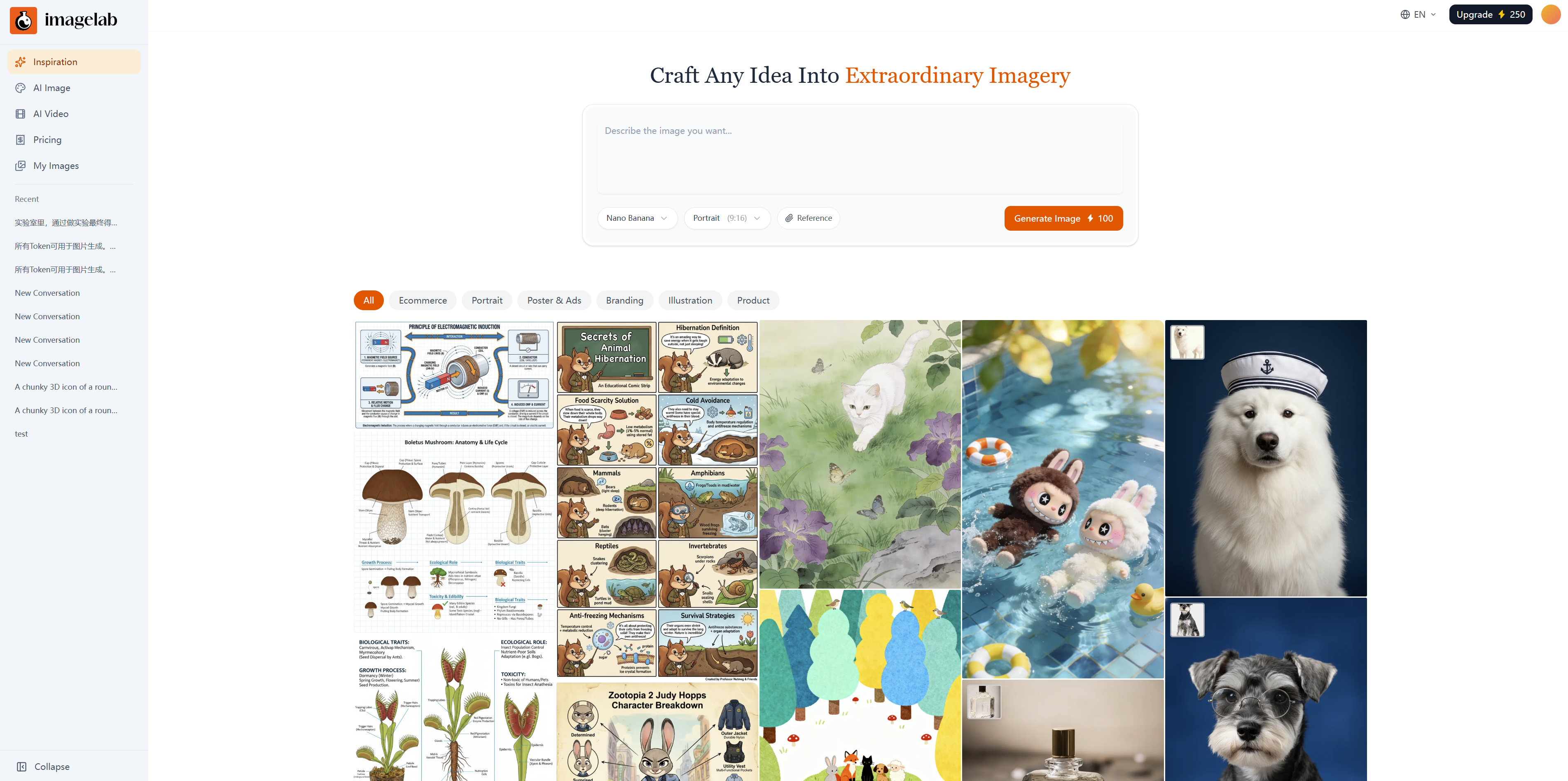 ImageLab gallery image