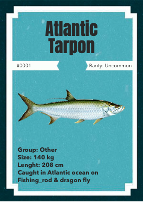 NFTs fishing - catch your rare NFT fish! gallery image