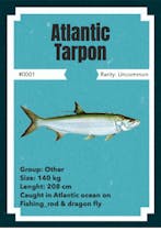 NFTs fishing - catch your rare NFT fish! gallery image