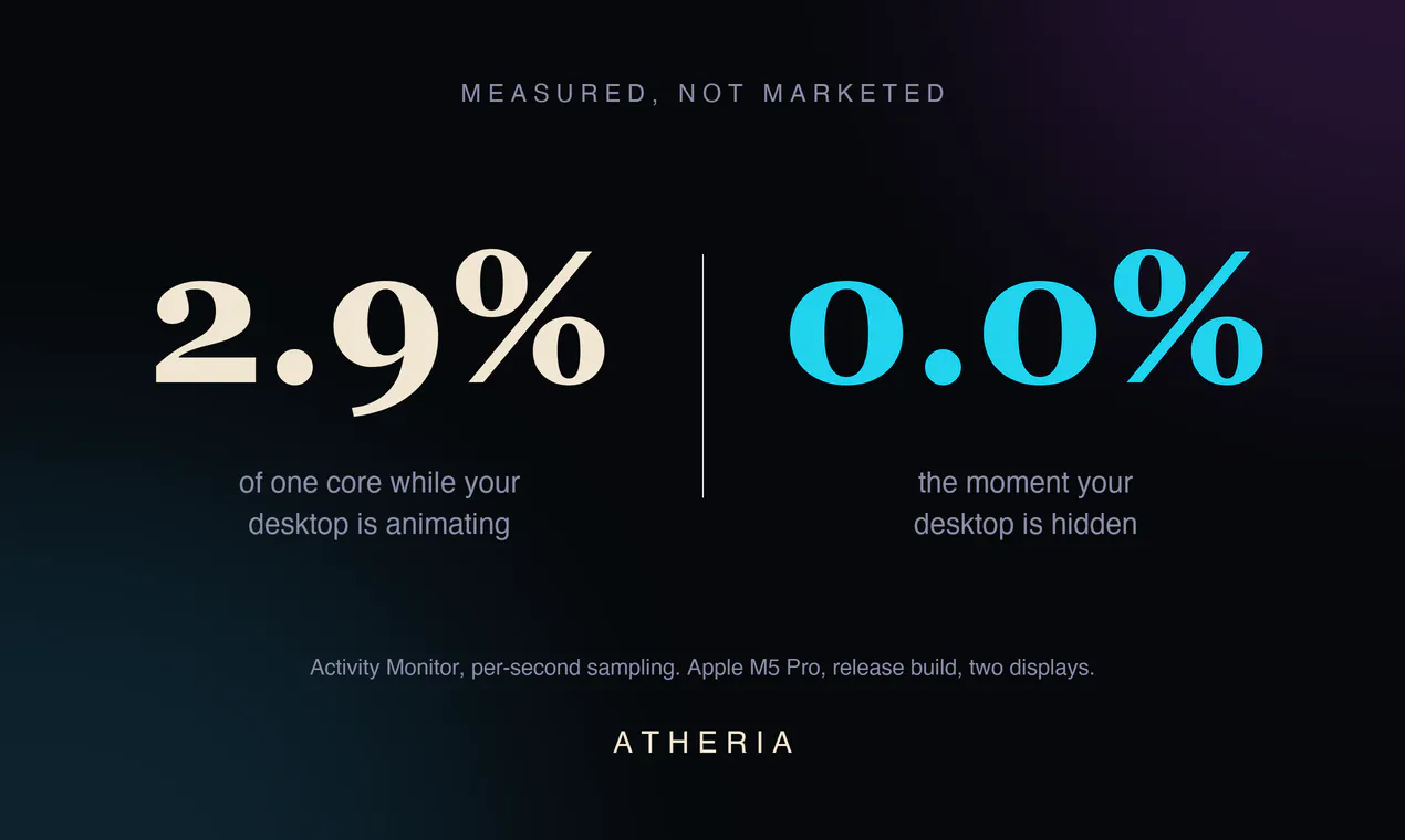Atheria gallery image