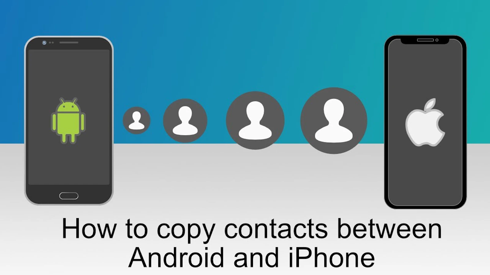 Contact Transfer screenshot 1 (video preview)