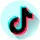 Tiktok Bulk Downloader