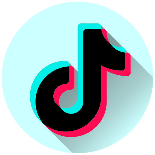 Tiktok Bulk Downloader logo